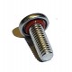 DSV lever screw