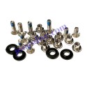 Kit de tornillos Apeks para equipo WSX