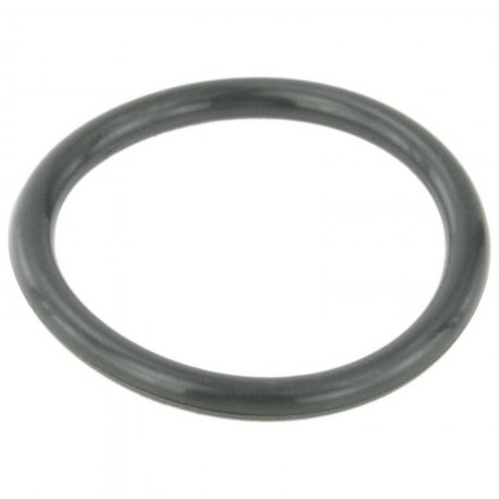 Apeks P-Ring for modular valves blind plug