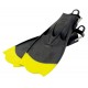 hollis-f1-bat-fin-yellow