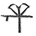 DTD sidemount harness