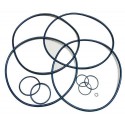 O-Ring Set for rEvo III