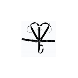 Harness 
